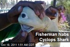 Fisherman Nabs Cyclops Shark