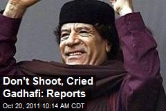 Don&#39;t Shoot, Cried Gadhafi: Reports