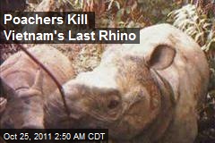 Poachers Kill Vietnam&#39;s Last Rhino
