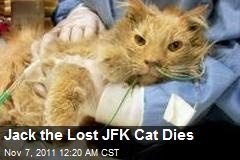 Jack the Lost JFK Cat Dies