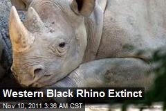 Western Black Rhino Extinct