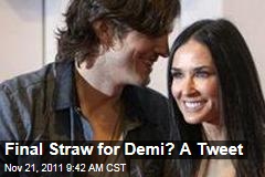 Demi Moore-Ashton Kutcher Divorce: Final Straw for Demi Was Twitter, Not Cheating