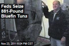 Feds Confiscate Fisherman's 881-Pound Bluefin Tuna
