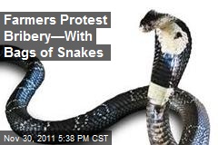 Farmers Protest Bribery&mdash;With Bags of Snakes