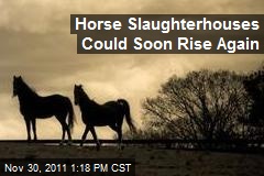 Horse Slaughterhouses Could Soon Rise Again