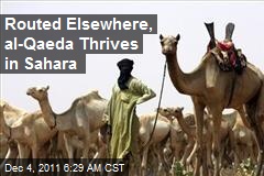 Routed Elsewhere, al-Qaeda Thrives in Sahara