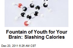 Fountain of Youth for Your Brain: Slashing Calories