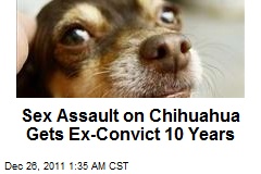 Sex Assault of Chihuahua Gets Con 10 Years