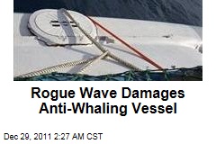 Rogue Wave Damages Sea Shepherd's Brigitte Bardot Ship