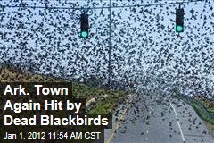 Dead Blackbirds Again Rain Down on Arkansas Town