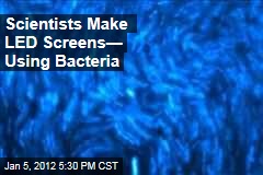 UC San Diego Scientists Make LED Screens Using Bacteria