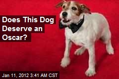 Does This Dog Deserve an Oscar?