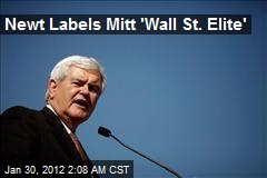 Newt Labels Mitt &#39;Wall St. Elite&#39;
