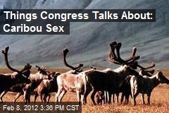 Things Congress Talks About: Caribou Sex