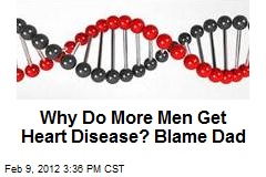 Why Do More Men Get Heart Disease? Blame Dad