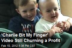 &lsquo;Charlie Bit My Finger&#39; Video Still Churning a Profit