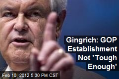 Gingrich: GOP Establishment Not &#39;Tough Enough&#39; to Win