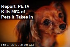 Report: PETA Kills 95% of Pets It Takes In