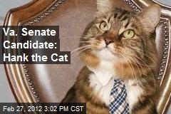 Va. Senate Candidate: Hank the Cat