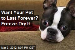 Want Your Pet to Last Forever? Freeze-Dry It