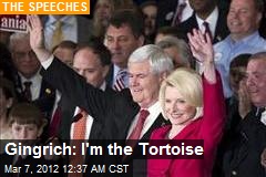 Gingrich: &#39;I&#39;m the Tortoise&#39;