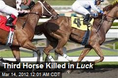 Third Horse Killed in Luck