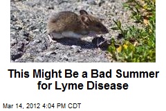 This Might Be a Bad Summer for Lyme Disease