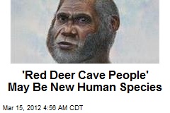 &#39;Red Deer Cave People&#39; May Be New Species