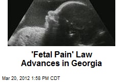 &#39;Fetal Pain&#39; Law Advances in Georgia