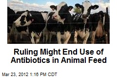 Ruling Might End Use of Antibiotics in Animal Feed