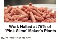 Work Halted at 75% of &#39;Pink Slime&#39; Maker&#39;s Plants