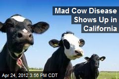 Mad Cow Disease Shows Up in California
