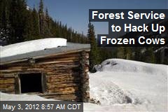 Forest Service to Hack Up Frozen Cows