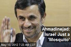 Ahmadinejad: Israel Just a &#39;Mosquito&#39;