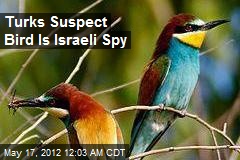 Turks Suspect Bird Is Israeli Spy
