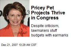 Pricey Pet Projects Thrive in Congress