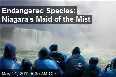 Endangered Species: Niagara&#39;s Maid of the Mist
