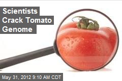 Scientists Crack Tomato Genome