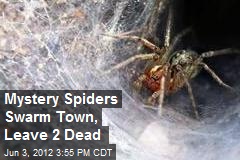 Mystery Spiders Swarm Town, Leave 2 Dead