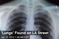 &#39;Lungs&#39; Found on Los Angeles Street