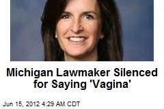 Michigan Lawmaker Silenced for Saying &#39;Vagina&#39;