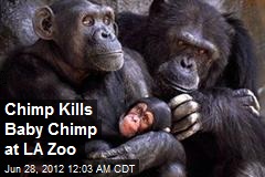 Chimp Kills Baby Chimp at LA Zoo