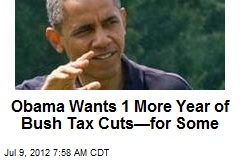 Obama Wants 1 More Year of Bush Tax Cuts&mdash;for Some