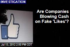 Are Companies Blowing Cash on Fake &#39;Likes&#39;?