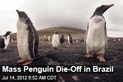 Mass Penguin Die-Off in Brazil
