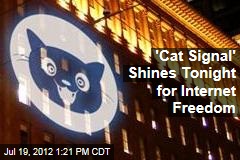 &#39;Cat Signal&#39; Calls for Internet Freedom