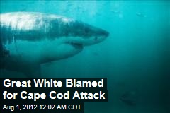Great White Blamed for Cape Cod Attack