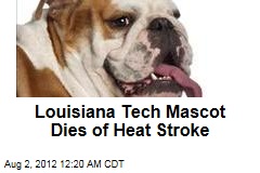 Louisiana Tech Mascot Dies of Heat Stroke