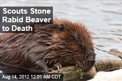 Scouts Stone Rabid Beaver to Death