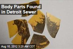 Body Parts Found in Detroit Sewer